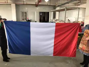 Hele Koop 100% Polyester Frankrijk Nationale Vlag
