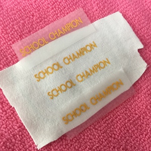 Étiquette de transfert de chaleur en film PET pour vêtements scolaires, logo de transfert de chaleur sans étiquette pour sweats à capuche - Product Image 1