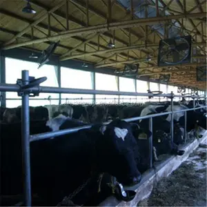 乳牛パイプライン搾乳機システム