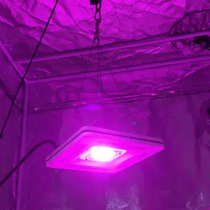 Luces led cob para cultivo hidropónico, IP67, 50W
