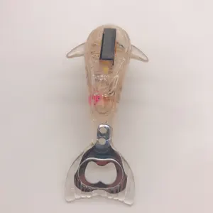 Dekorative Kühlschrank Magnet Delphin Flasche Opener