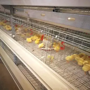 Complete Auto Pullets Rearing animal cages Chicken Brooding Cage System for Chick Brooders and Grow Hens for Sale