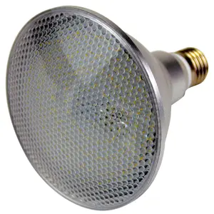 12 W אור עמיד למים IP65 LED PAR38 LED זרקור חיצוני LED PAR38 אור ספוט