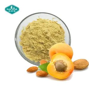 Nutrifirst有机食品添加剂固体提取喷雾干提取物杏果水溶性果汁粉