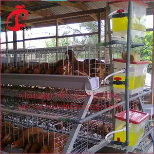 9 cages professionnelles de piles, 96 oiseaux, pour batterie de ferme de volaille, poulet, vente en gros