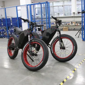 26*4.5 1000W 큰 힘 뚱뚱한 타이어 LCD 디스플레이를 가진 세륨을 가진 전기 산악 자전거/눈 ebike/전기 자전거
