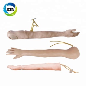 EN 410 Hôpital médical d'éducation enseignement humain modèle <span class=keywords><strong>Prostate</strong></span> <span class=keywords><strong>Simulateur</strong></span> D'examen - Product Image 3