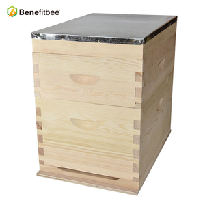 Estilo australiano <span class=keywords><strong>colmena</strong></span> kit caja Bee <span class=keywords><strong>Hive</strong></span> con China material de abeto - Product Image 1