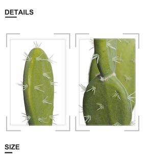 Supports pour <span class=keywords><strong>plantes</strong></span> d'<span class=keywords><strong>intérieur</strong></span>, <span class=keywords><strong>plantes</strong></span> artificielles de cactus porte-bonheur, faux cactus, usine - Product Image 4