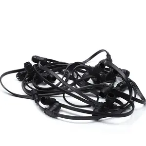 10M 20M 50M Tuin Outdoor Waterdichte B22 Riem Licht String E27 Festoen Verlichting 100M