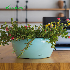 Trung Quốc Baking Hoàn Thành Lớn Nồi Tráng Men Trong Nhà Tự Động Tưới Nước Thủy Canh Phát Triển Hệ Thống Chậu Cây Nhựa Cho Vườn - Product Image 2