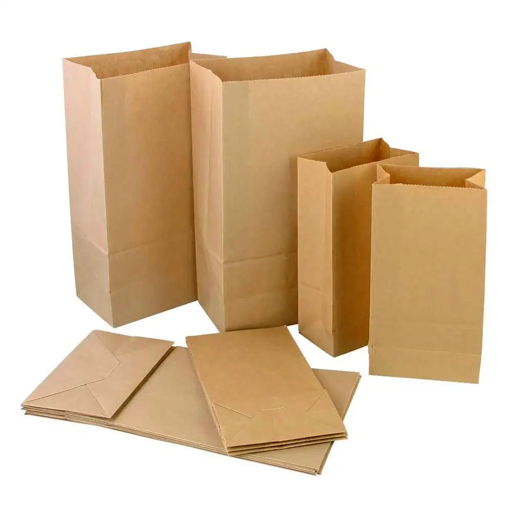 100% Compostable Recycled Durable Brown Kraft Paper Lunch Bags for Snack Takeaway Bread Packaging