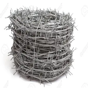 Factory Direct Sales 16*12 Hot-Dipped Galvanized barbed wire