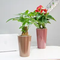 Vasos de plantas artificiais longo de alto perfil, cor de metal, preguiçosa, vasos para plantas, chaves