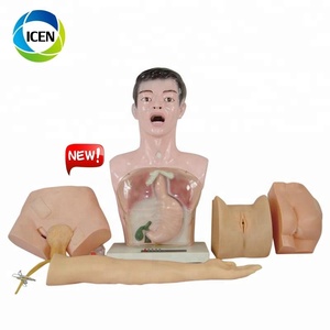 TRONG-405 muti-chức năng đào tạo y tế điều dưỡng cơ bản người lùn IV cánh tay chân hoạt động thực hành mô hình y tá kỹ năng thực hành mô hình - Product Image 5