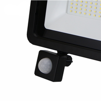 Projecteur LED imperméable avec capteur de mouvement Pir, lumière à large faisceau, sécurité du crépuscule à l'aurore, 300/200/100/50/30/20/10W