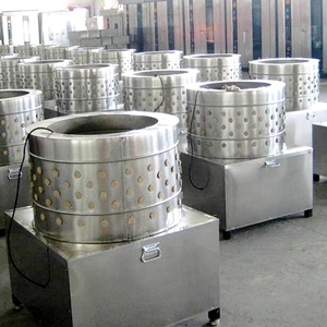 Machine à plumer les volailles économique pour la ligne d'abattage de volailles - Product Image 6