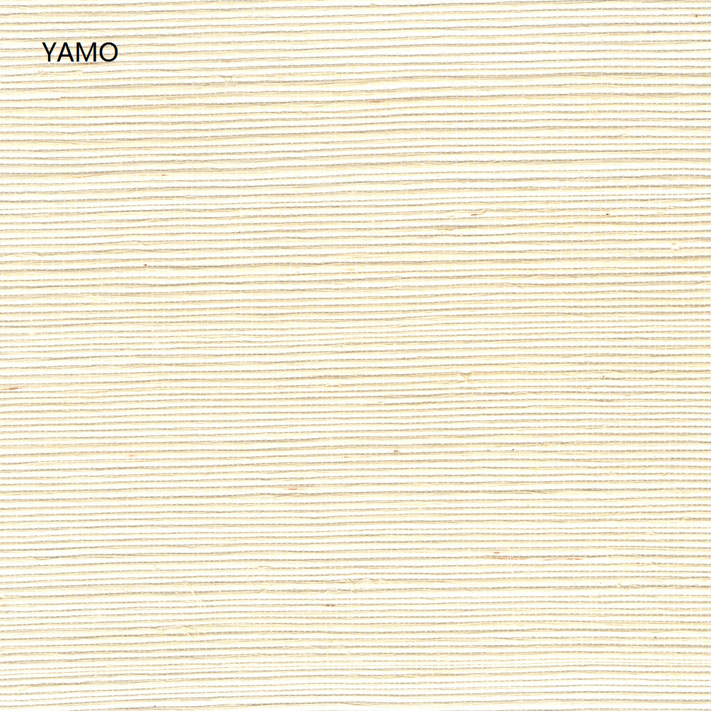 Y5-H01