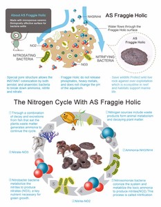 ASFD-T/S A.S. Fraggie <span class=keywords><strong>Holic</strong></span> Coral Frag Disc Material Filtrante para Bacterias con Base de Cerámica Gran Promoción Reef Plug Bolsas a Granel - Product Image 5