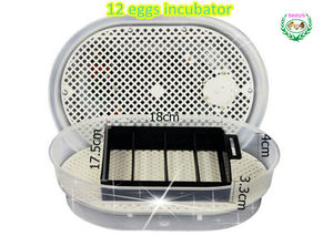 Nouveau design 12 incubateur d'oeufs Mini incubateur d'oeufs de poulet Turquie partie clé moteur puissance incubateur de poulet - Product Image 4