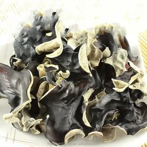 Orecchio ebreo peloso selvatico essiccato intera parte di Auricularia polytricha Mont Sacc funghi per il cibo