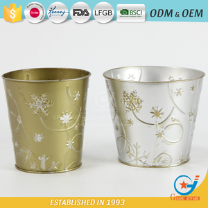 Artículos <span class=keywords><strong>para</strong></span> el hogar <span class=keywords><strong>de</strong></span> metal recubiertas <span class=keywords><strong>de</strong></span> polvo al por mayor relieve al aire libre maceta <span class=keywords><strong>de</strong></span> flores en <span class=keywords><strong>macetas</strong></span> al por mayor ollas <span class=keywords><strong>de</strong></span> metal cara - Product Image 3