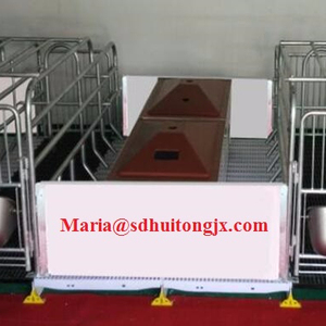 Đôi Lợn <span class=keywords><strong>Farrowing</strong></span> <span class=keywords><strong>Crate</strong></span> Cho Hai Gieo Với PVC Plank Hàng Rào Lồng Động Vật - Product Image 2