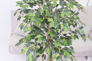 ขายส่งต้นไทรจิ๋วประดิษฐ์ JIAWEI แบบกำหนดเอง ดีไซน์สวยงาม เป็นมิตรกับสิ่งแวดล้อม สำหรับตกแต่งภายในอาคาร ขนาด 120 ซม. จากโรงงาน - Product Image 6