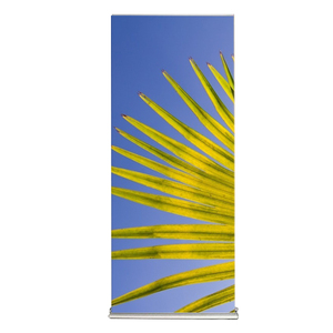 Hot Sale Aluminium <strong>Roll</strong>-Up Display LED <strong>Banner</strong> Cheap Exhibition and Advertising Promotional Tool - Product Image 2