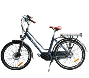 26英寸古代风格E自行车，带中置驱动电机电动自行车，带Shimano Nexus内部3速齿轮