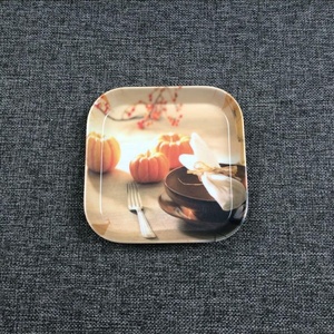 Melamine <strong>Small</strong> <strong>Tray</strong> - Product Image 4