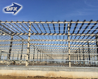 Taller de Diseño de Estructuras de Acero Ligeras Chinas DFX, Almacén, Cobertizo Metálico, Edificio de Hangar