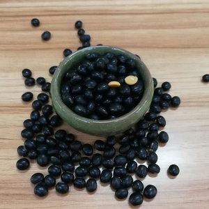 Secos negro soja con amarillo núcleo libre de transgénicos frijol negro - Product Image 6