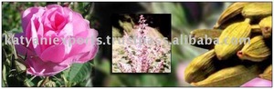 Aceite esencial de semilla de tomate puro y natural superventas 100% indio a granel, proveedor al por mayor de aceite prensado en frío para multiusos - Product Image 2