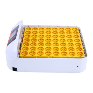 <span class=keywords><strong>Mini</strong></span> incubadora de 56 huevos HHD para aves de corral, automática, a la venta - Product Image 4