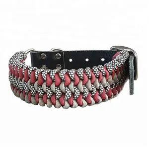 paracord hunting dog collar, paracord hunting dog collar Suppliers