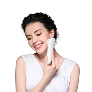 Sản Phẩm Bán Chạy Nhất Trong Alibaba Nhà Sử Dụng Điện Mặt Lift Ems New Mini Con Lăn Massager