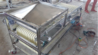 Negen Track Model Citrusvruchten Sorteren Machine