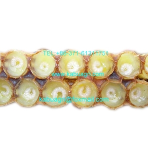 Doğal taze arı sütü/dondurulmuş arı sütü - Product Image 1