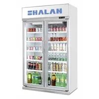 中国冷凍庫ショーケース、Congelateur-コマーシャル、Refrigeradorコマーシャル冷蔵庫コマーシャル冷蔵庫