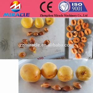 Mơ và Đào Đá Tách Hạt Nhân Loại Bỏ và Một Nửa Cắt Máy - Product Image 3