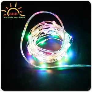 Christmas Holiday Name extendable led string fairy lights