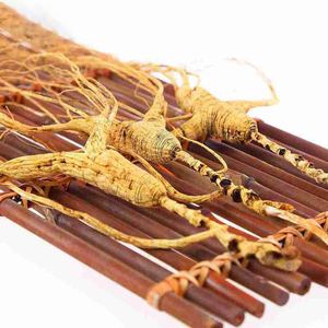 Vahşi <span class=keywords><strong>Ginseng</strong></span> - Product Image 3