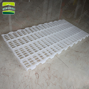 Nouveau plancher en plastique pour <span class=keywords><strong>poulailler</strong></span>, lattes en PP, revêtement de <span class=keywords><strong>sol</strong></span> pour élevage, équipement d'élevage - Product Image 2