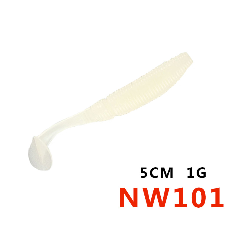 NW101