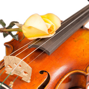 China Instrumento Violín Hecho A Mano Violín Antiguo (TL007-3) - Product Image 3