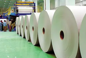 Fourniture directe d'usine Étiquette thermique directe auto-adhésive BOPP PVC PET LABEL jumbo roll