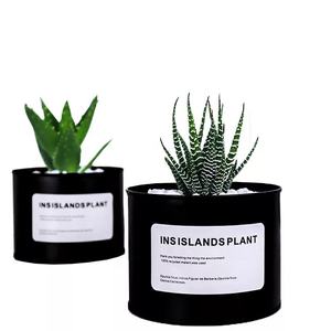 Mini <span class=keywords><strong>pot</strong></span> à plantes en acier inoxydable, personnalisé, en métal, vente en gros - Product Image 2