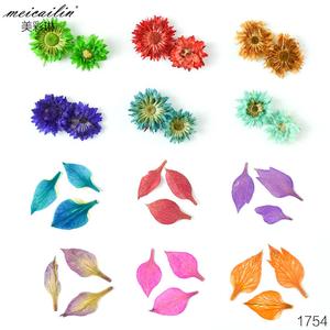 12 couleurs 3D Nail Art décoration vraie fleur séchée sèche - Product Image 4