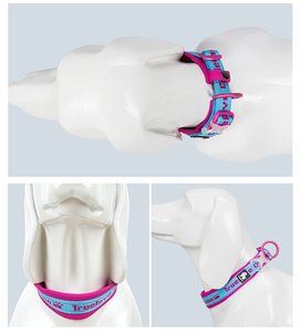 Nylon Reflecterende Zachte Neopreen Groothandel Verstelbare Halsband Huisdier Halsbanden En Riemen Voor Hond Alle Seizoenen - Product Image 6